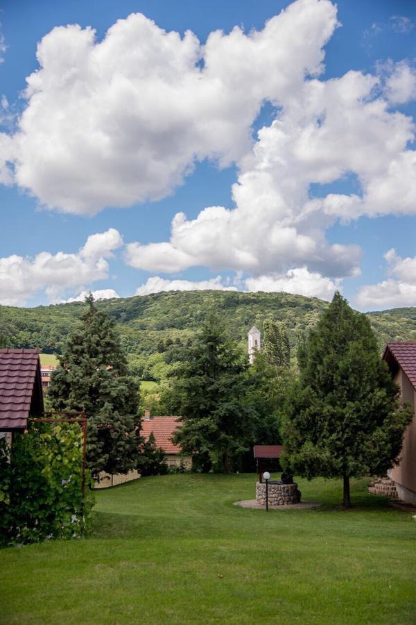 Апартаменти Gardenlux Врднік Екстер'єр фото